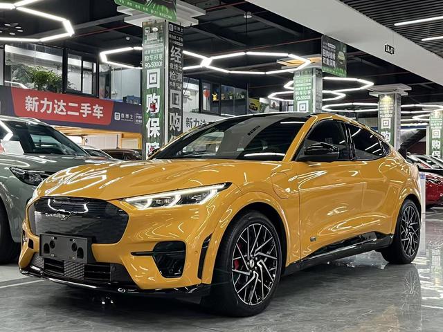 Ford Electric Horse 2024 GT Version