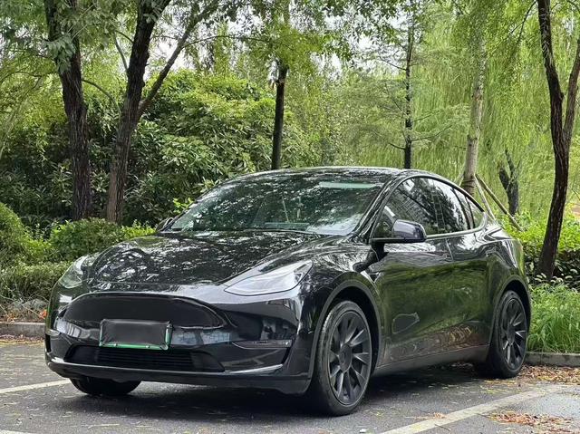 Model Y 2021 Standard Range Rear-Wheel Drive