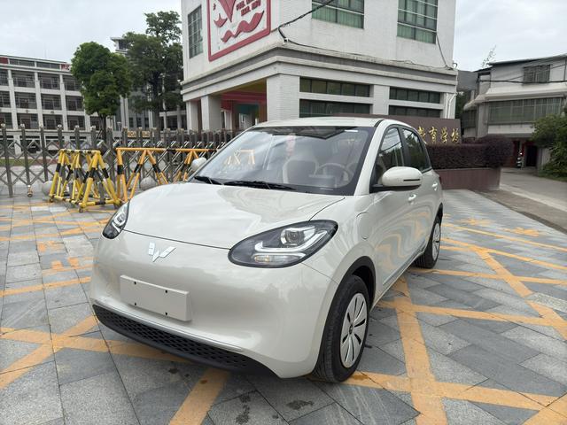 Wuling Bingguo 2025 Model 203KM Light Enjoyment Model