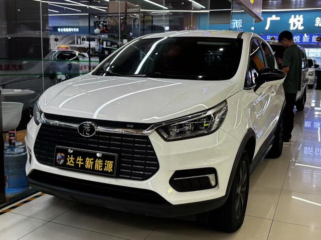 Yuan EV 2019 EV535 Intelligent Link Leader Model