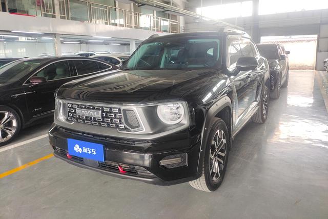Havoc II Big Dog 2023 1.5T 2WD Tide Wild Plus