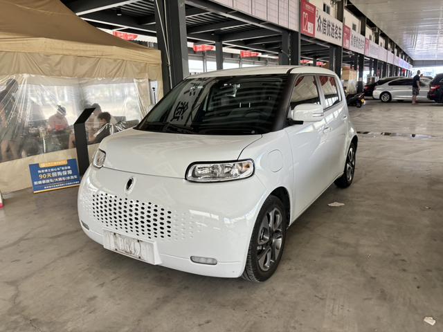 Euler White Cat 2020 Model 305km Luxury Type