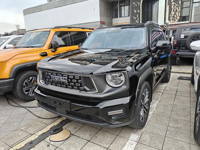 Havoc II Big Dog 2023 1.5T 2WD Tide Wild Plus