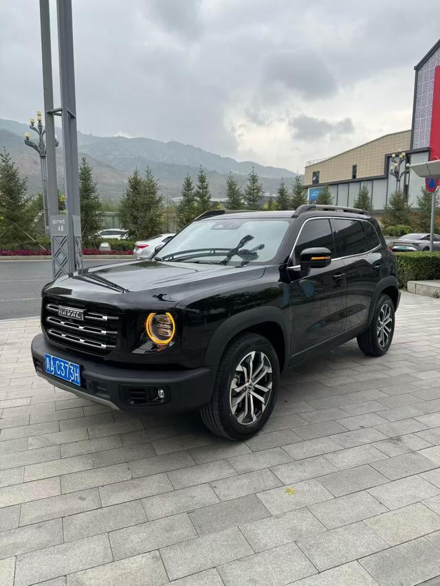 Havoc Big Dog 2022 1.5T 2WD Labrador Edition