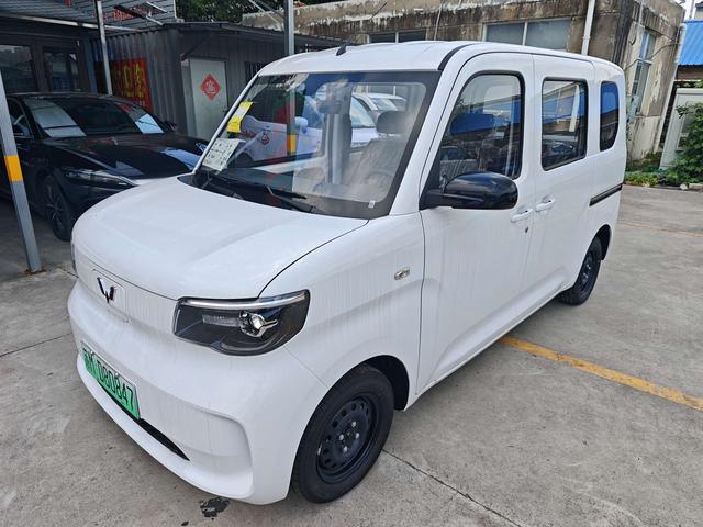 Wuling Zhiguang EV 2025 Standard Type