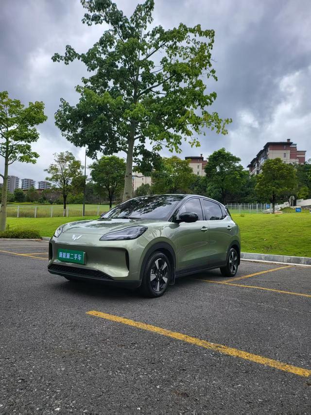 Wuling Bingguo PLUS 2024 510km Ultimate Edition