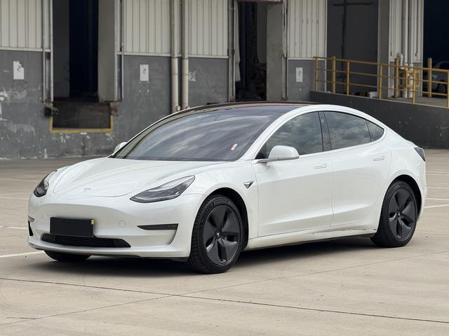Model 3 (Import) 2019 Long Range Rear Drive Edition