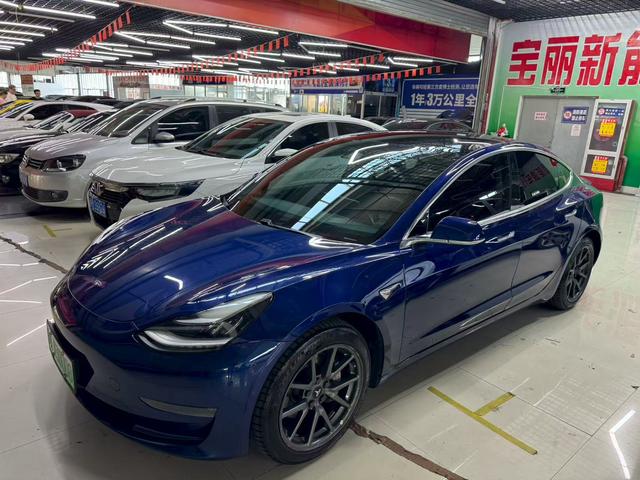 Model 3 (Import) 2019 Long Range Rear Drive Edition