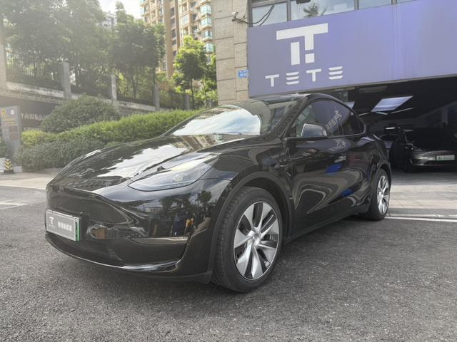 Model Y 2021 Standard Range Rear-Wheel Drive