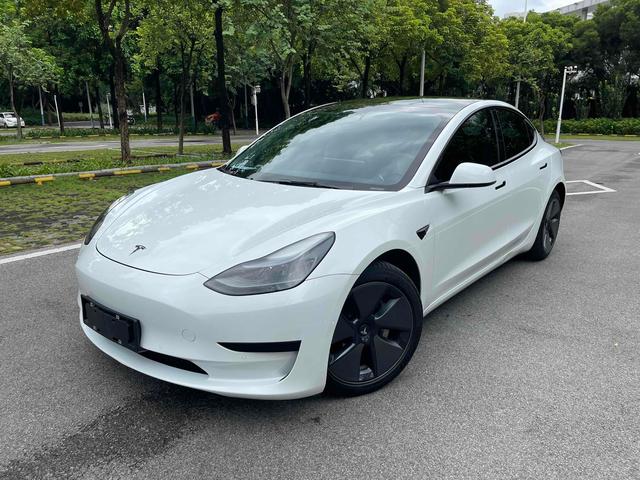 Model 3 2021 Standard Range Rear Drive Upgrade 3D6