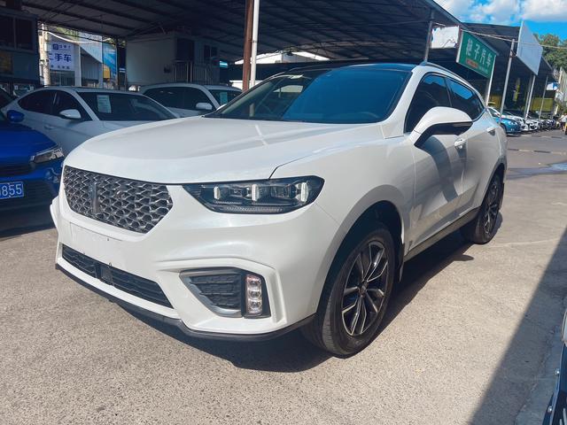 Wei brand VV5 2021 1.5T Smart Pioneer