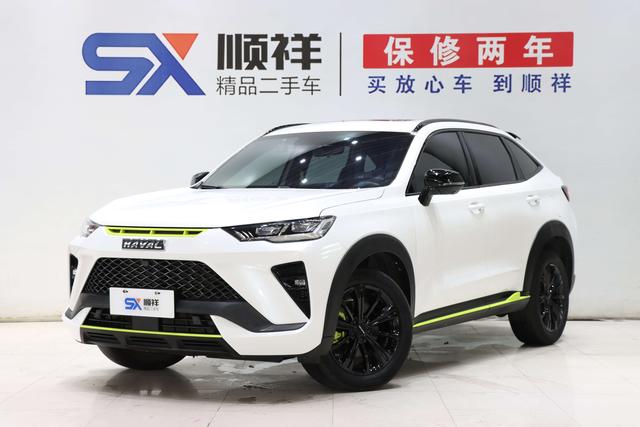 Haval H6S 2022 2.0T Pleasure Run Edition