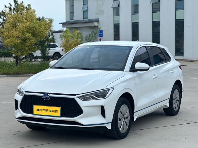 BYD e2 2021 Luxury