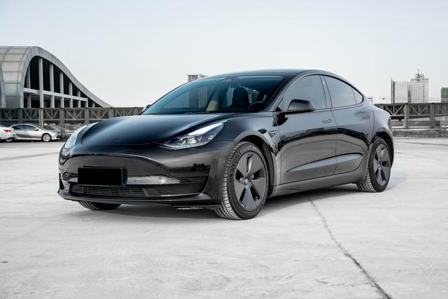 Model 3 2021 Standard Range Rear Drive Upgrade 3D6