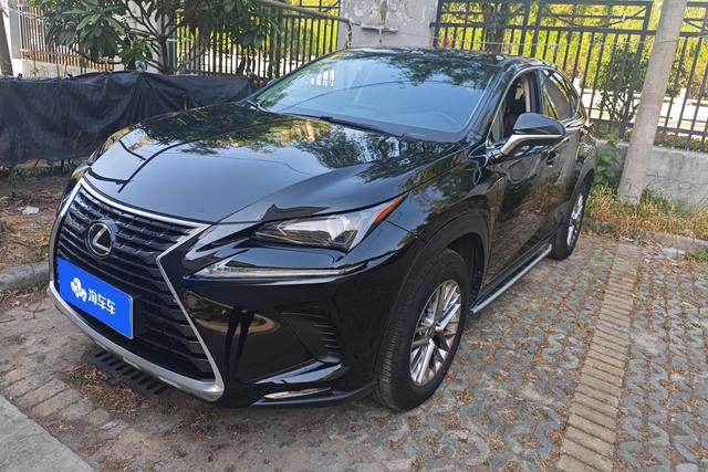 Lexus NX 2018 200 Front Drive Frontier Edition State V