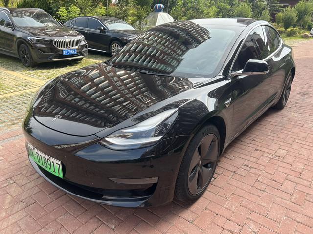 Model 3 (Import) 2019 Long Range Rear Drive Edition