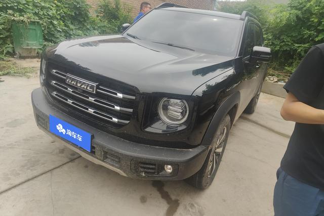 Havoc Big Dog 2022 1.5T 2WD Labrador Edition