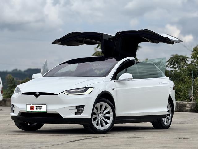Model X 2019 Long Range Edition