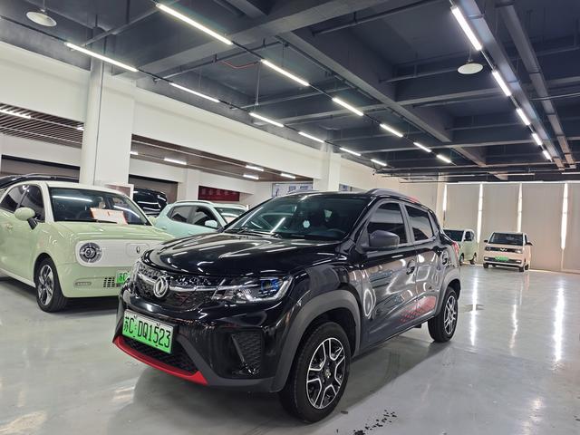 Dongfeng Nano EX1 2022 PRO Tiger Yao Edition Luxury