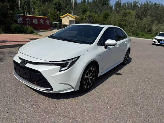 Ralink 2024 dual-engine 1.8L Knight Edition