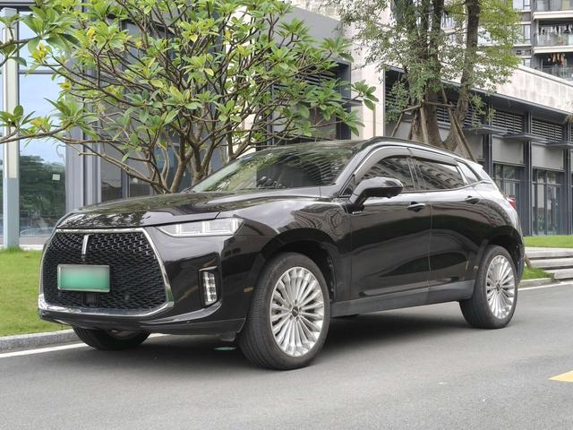 Wei brand P8 2018 2.0T flagship model