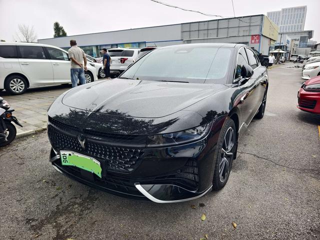 Arcturus Chase PHEV 2024 Ultra Long Range 4WD Executive Edition