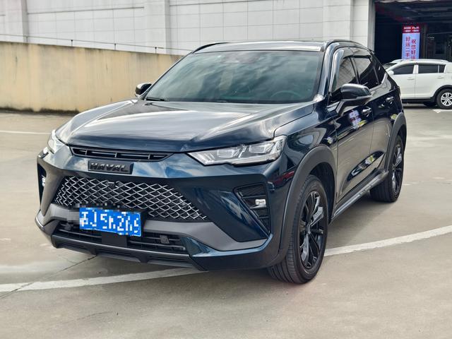 Haval H6S 2022 2.0T Pleasure Run Edition