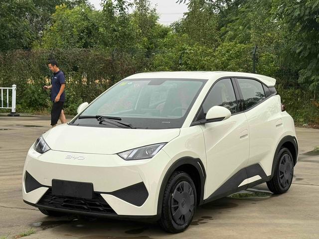 Seagull 2025 305KM Vitality Edition