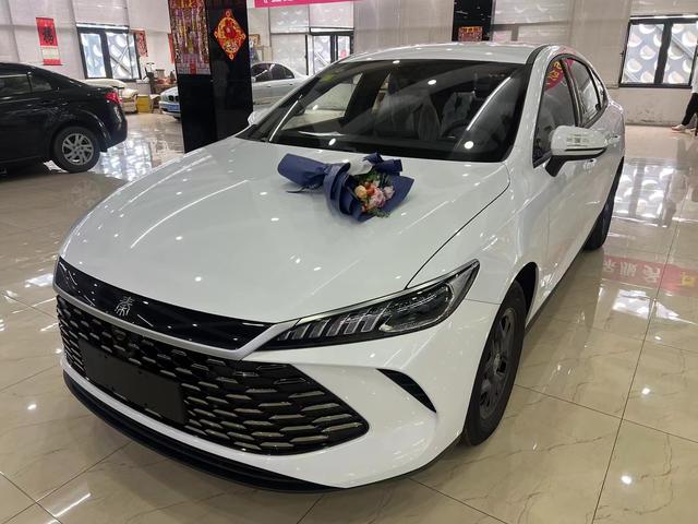 Qin PLUS DM 2025 Smart Driving Version DM-i 55KM leading Type