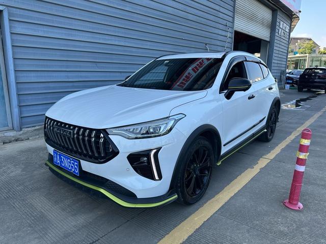 Havalanche 2021 Excite Edition 1.5T Golden Rabbit