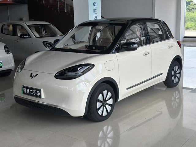 Wuling Bingguo 2025 Model 333KM Yuexiang Model