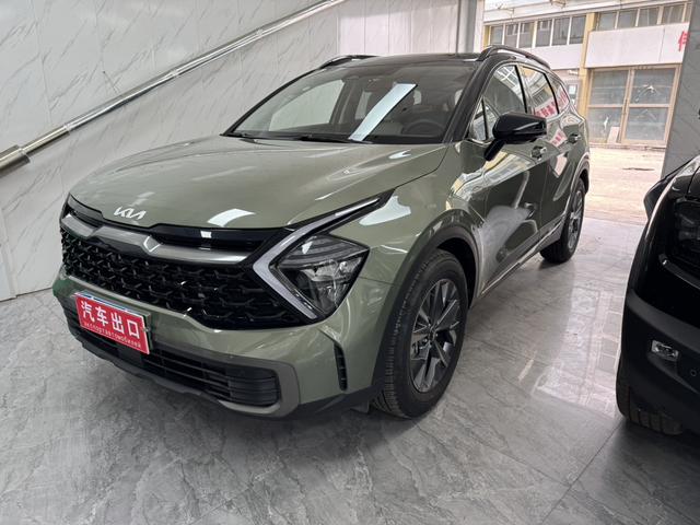 Lion Platinum Tuojie 2023 2.0L HEV Two-wheel drive Ultimate Edition
