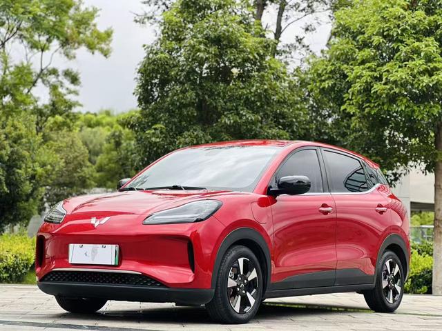 Wuling Bingguo PLUS 2024 401km Ultimate Edition