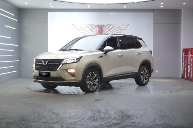 Wuling Xingchen 2022 Model 2.0L DHT Electric Speed Model