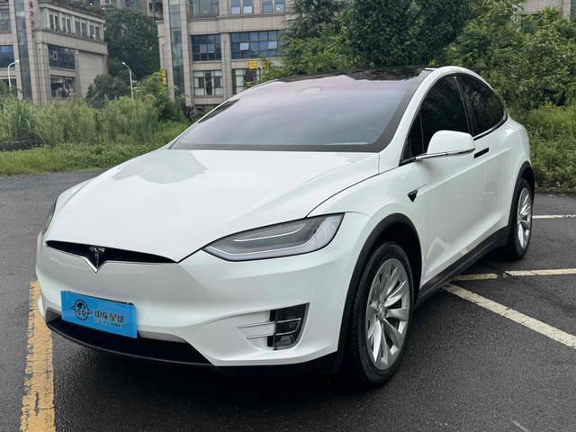 Model X 2019 Long Range Edition