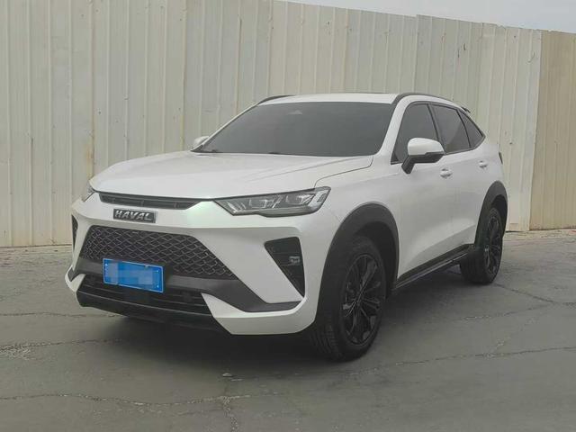 Haval H6S 2022 2.0T Tide Runner 4WD