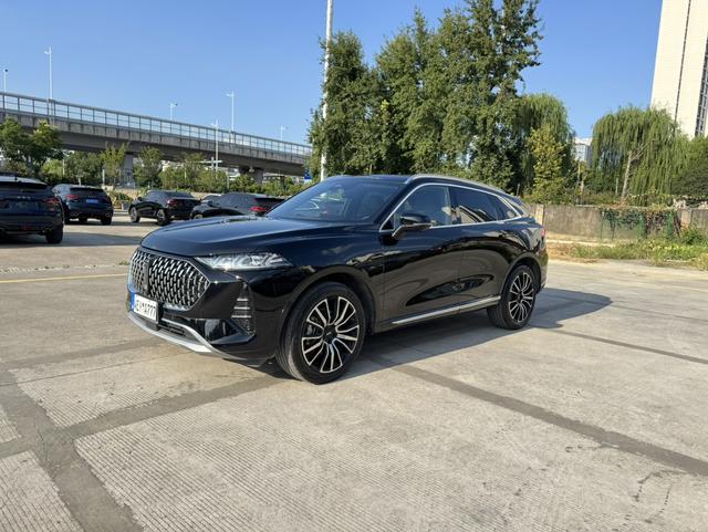 Mocha 2021 2.0T two-wheel drive special alcohol version