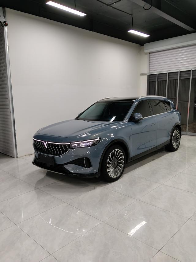 Landu FREE 2022 DNA Pure Electric Version