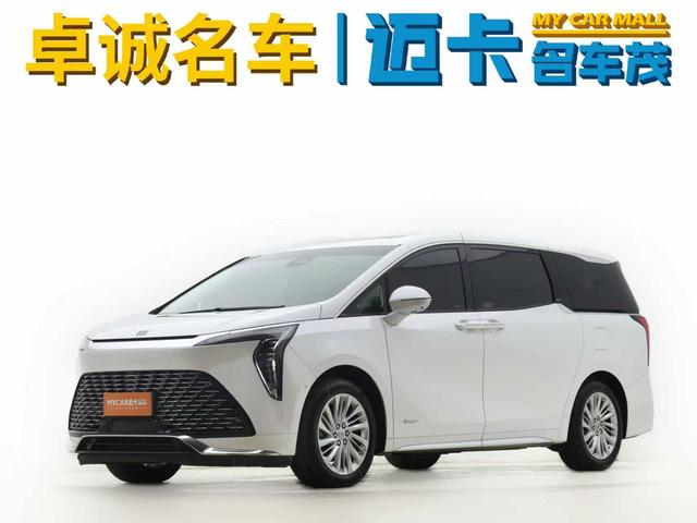 Century 2023 2.0T Six-Seat Embracing World Edition
