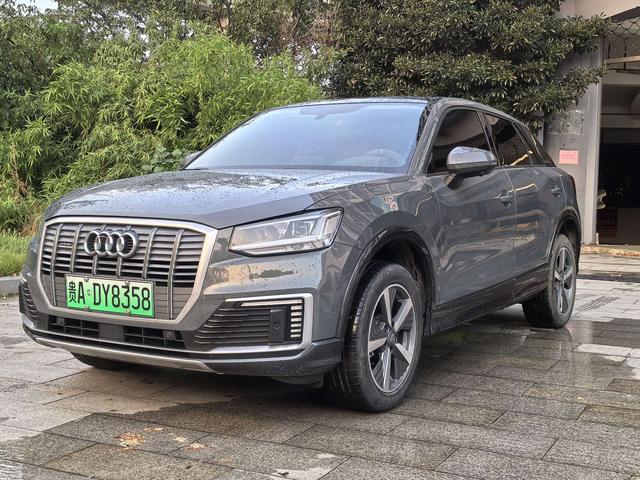 Audi Q2L e-tron 2019 Pure Electric Intelligence
