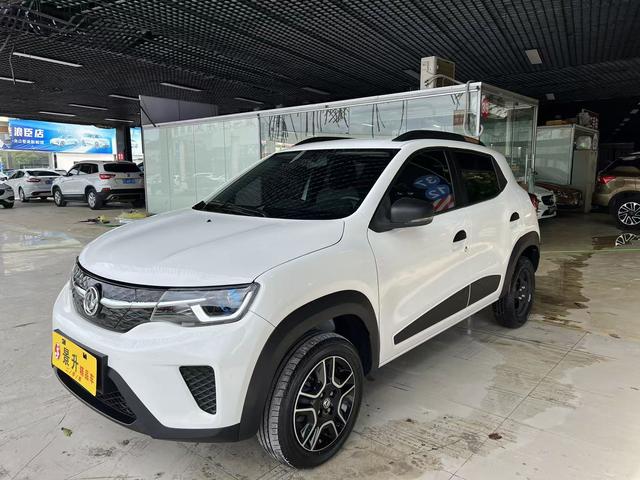 Dongfeng Nano EX1 2022 PRO Tiger Yao Edition Luxury