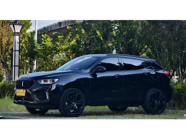 Wei brand VV5 2017 2.0T flagship model