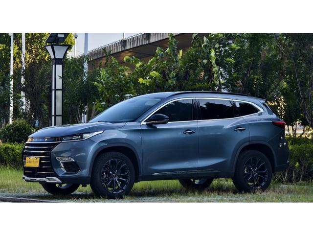 Xingtu TX 2021 Classic Version 1.6T Four-wheel drive Star Edition