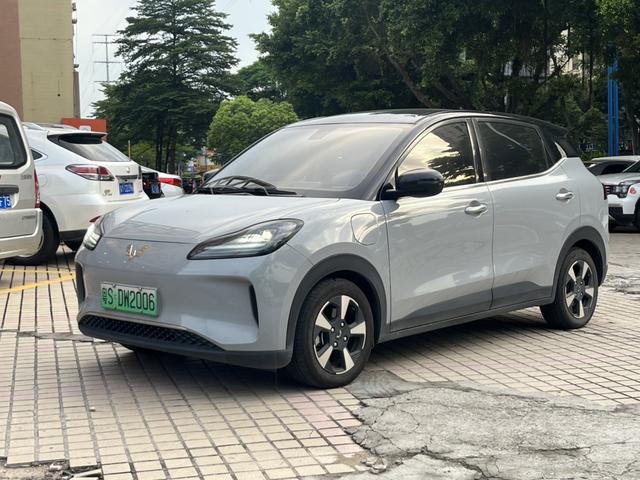 Wuling Bingguo PLUS 2024 510km Ultimate Edition