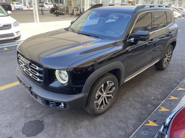 Havoc Big Dog 2021 2.0T 2WD Chinese Hound Edition