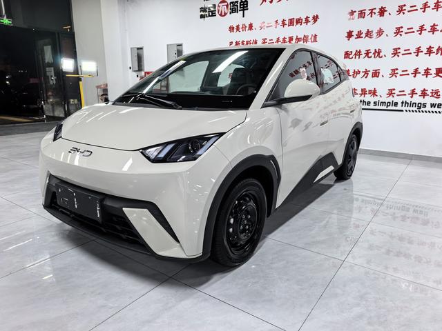 Seagull 2025 305KM Vitality Edition