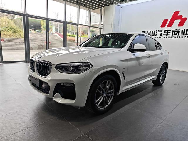 BMW X4 2019 xDrive25i M Sport Package