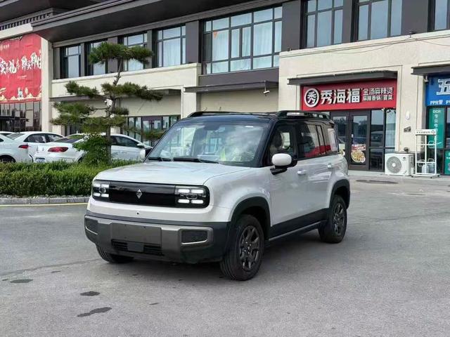 Yueye Plus 2026 301km Ultimate Edition