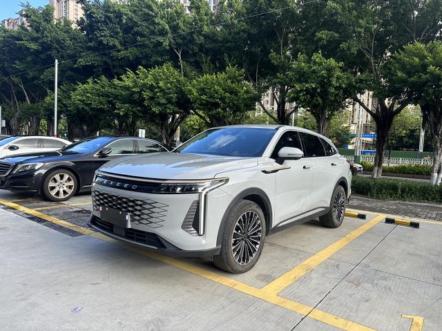 Xingtu Yaoguang 2023 400T Two-wheel drive Premium Flying Fish Version