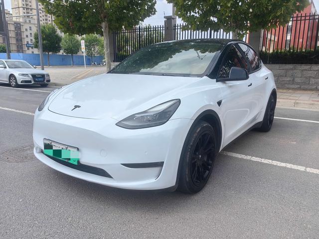 Model Y 2021 Standard Range Rear-Wheel Drive